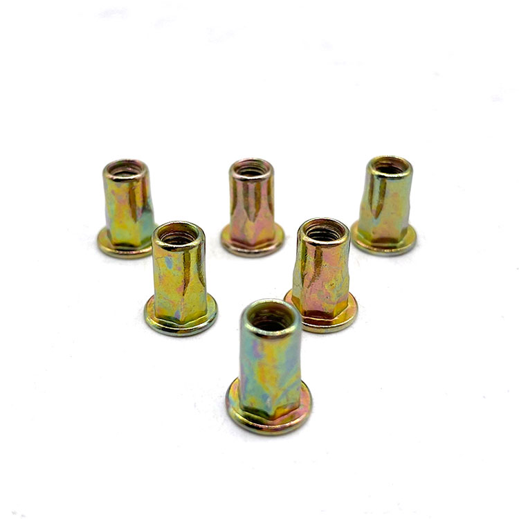 Flat Head Hex Body Aluminum Sheet Metal Carbon Steel Brass Cylindrical Rivet Nut