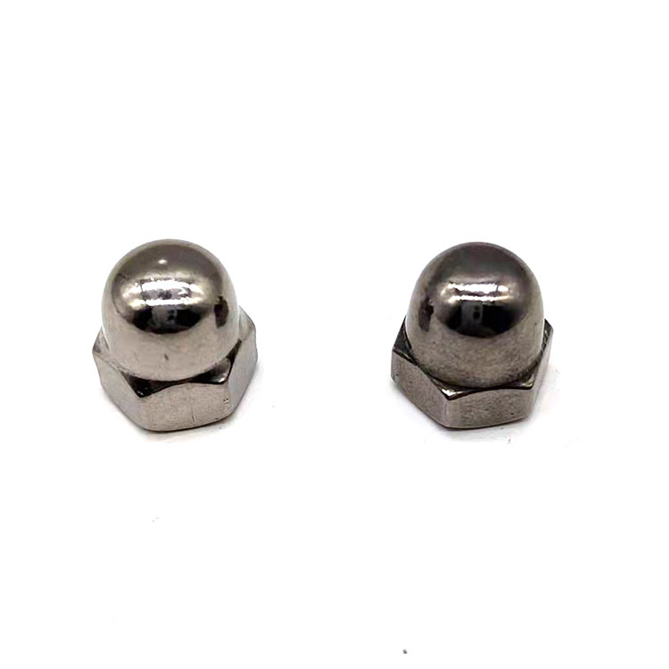 Stainless Steel 304 316 M4 M6 M10 Hex Cap အခွံမာသီးများ